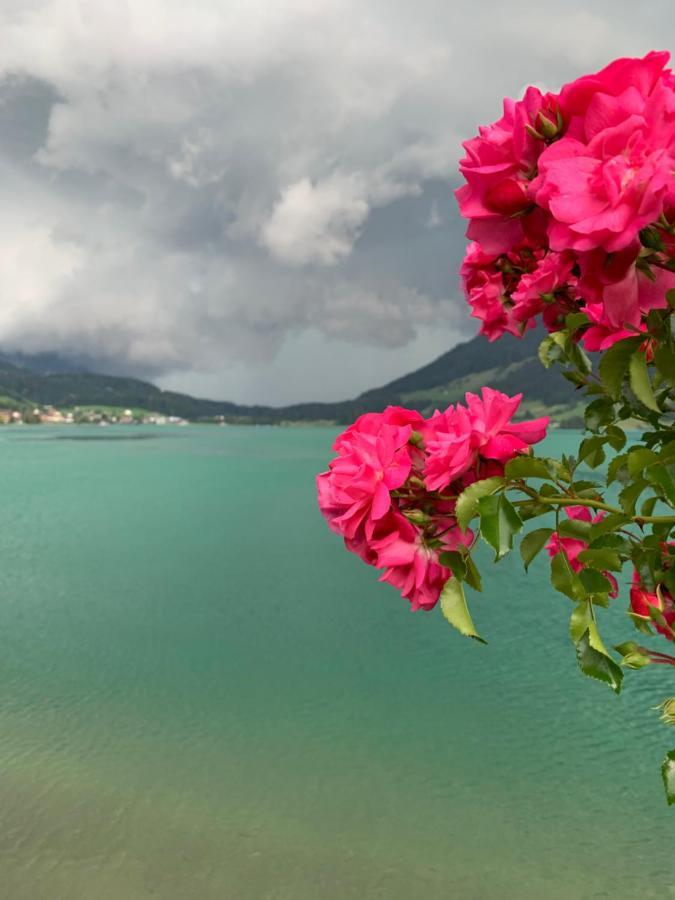 Oberägeri Hotel - Restaurant Eierhals Am Aegerisee מראה חיצוני תמונה