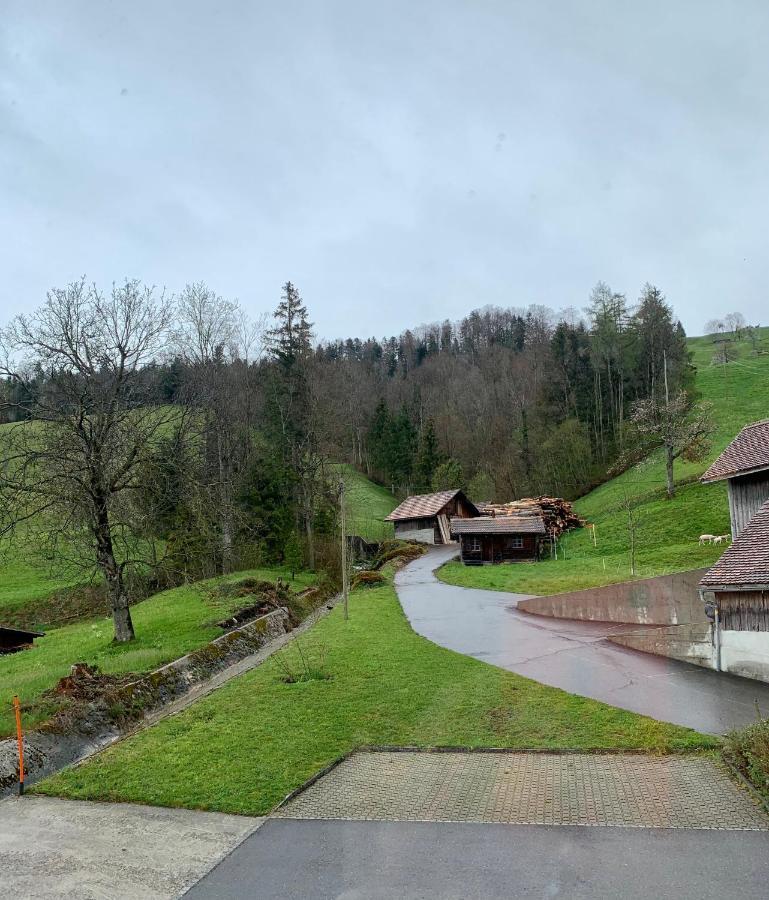 Oberägeri Hotel - Restaurant Eierhals Am Aegerisee מראה חיצוני תמונה